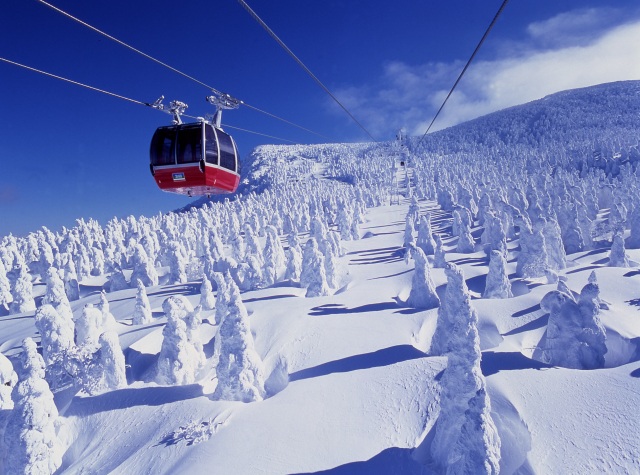 雪怪“雾凇”决不可错过 不妨沉浸在梦幻般的雪灯风情中